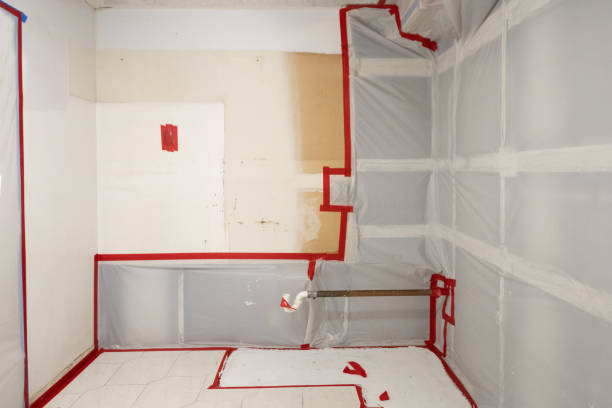 Mold Odor Removal Services in Riverview Park, PA