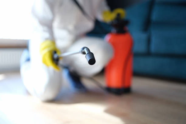 Dehumidification Services in Riverview Park, PA