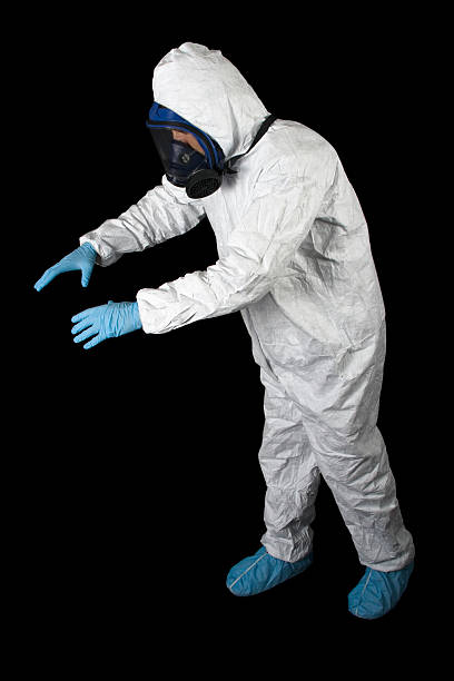 Trusted Riverview Park, PA Mold Removal Experts